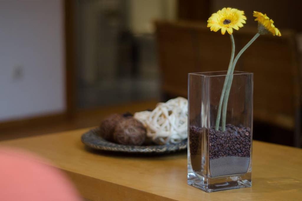 Ripoll Apartments Barselona Dış mekan fotoğraf